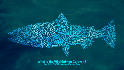 whatisWSC-salmoncloud